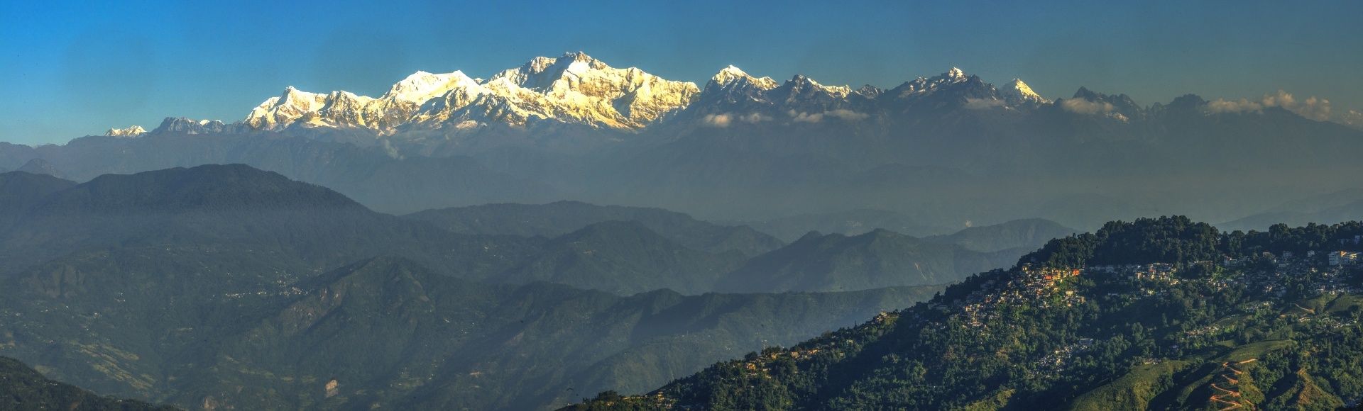 Panorama d'un paysage de montagne indien où l'on cultive le thé.