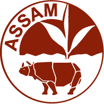 Thés Assam